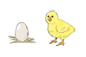 File:Chicken-egg.png